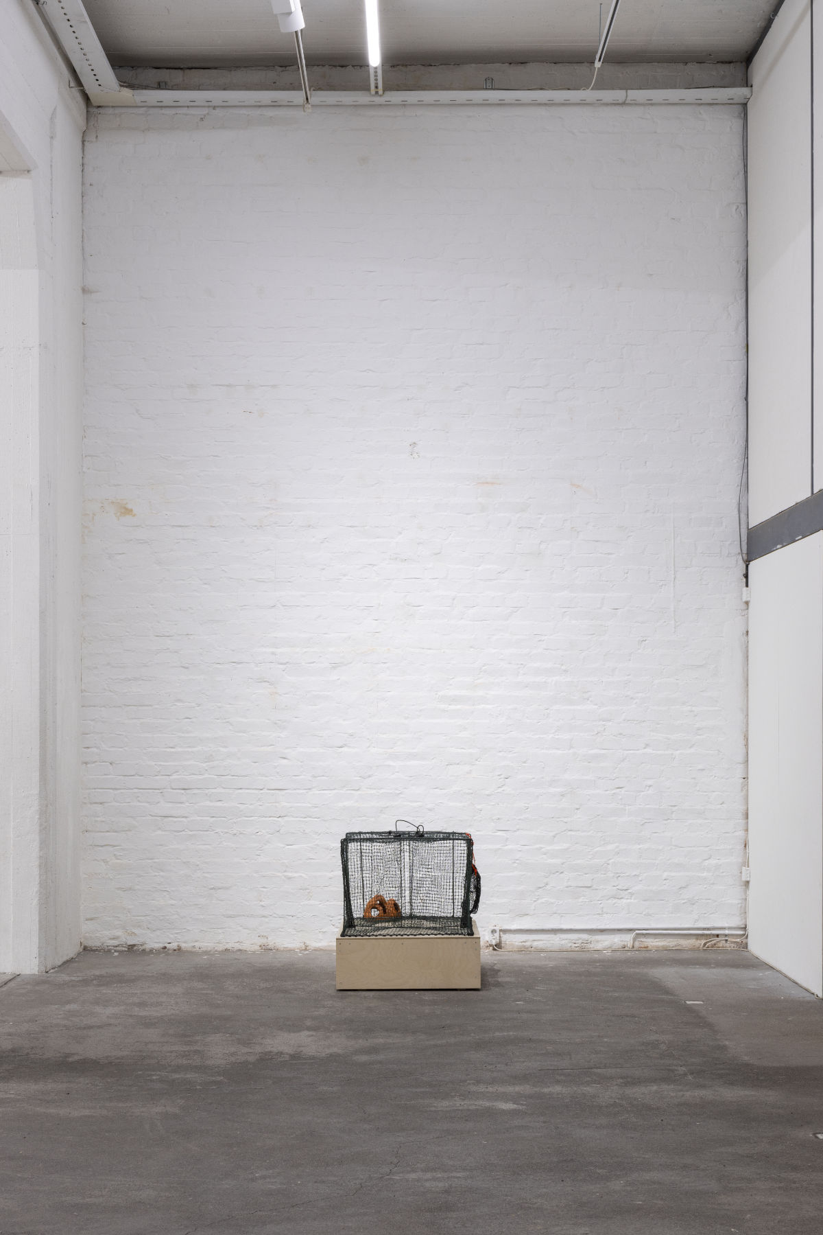 Nestori Syrjälä_EMPATHY EMPATHY, 2026_kuva Anna Autio (2).jpg